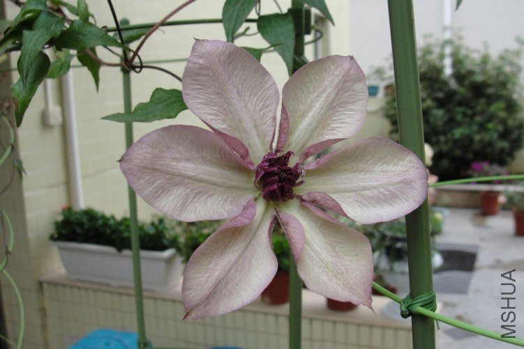 DSC01122-1.jpg