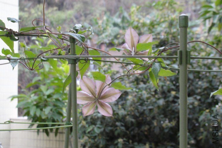 DSC01118-1.jpg