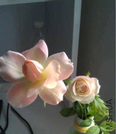 QQ��ͼδ����121.jpg