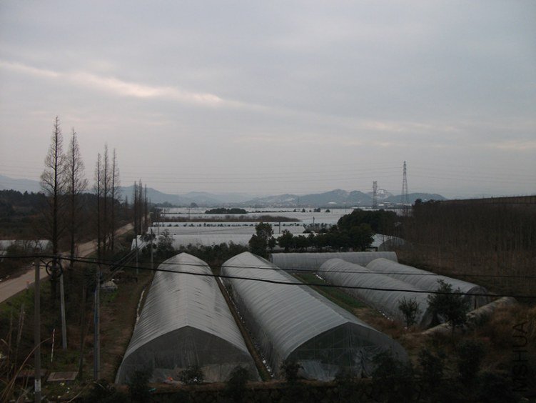 DSCF3950_����.jpg