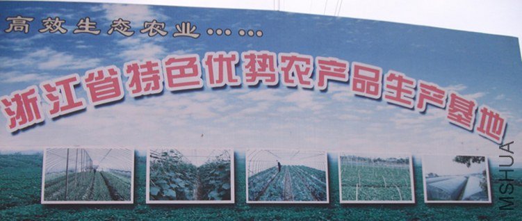 DSCF3960_����_����_����_����.jpg