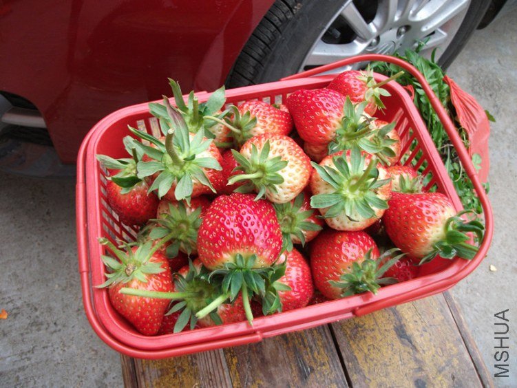DSCF3969_����.jpg