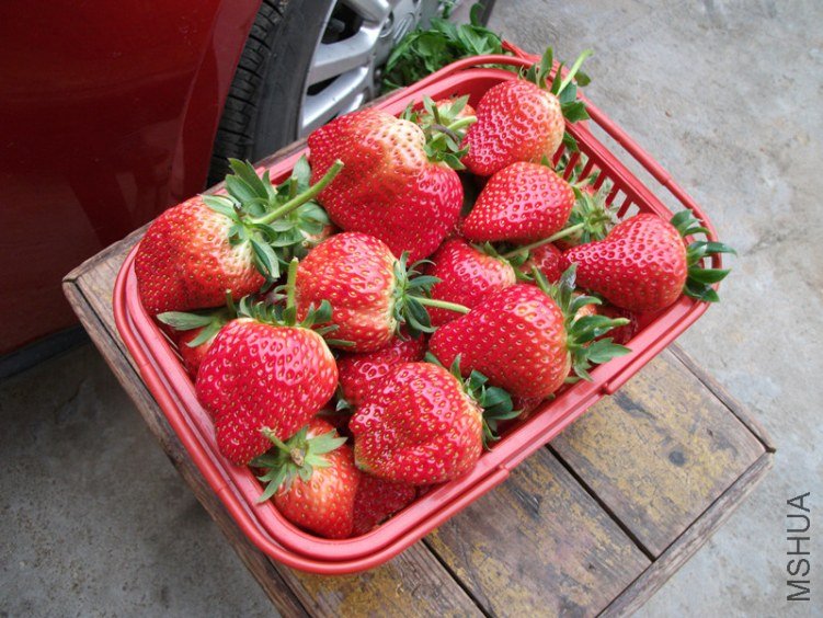 DSCF3971_����.jpg