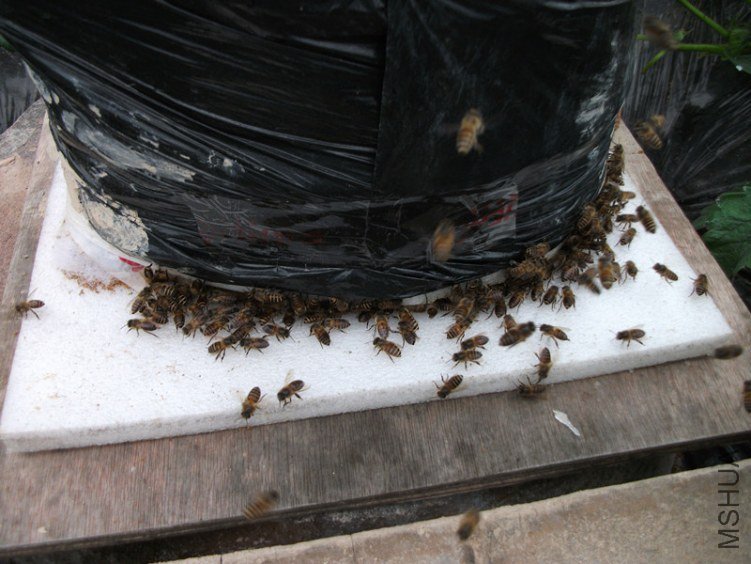 DSCF3977_����.jpg
