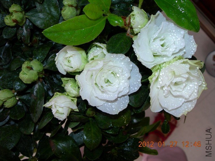 DSCN0758.JPG