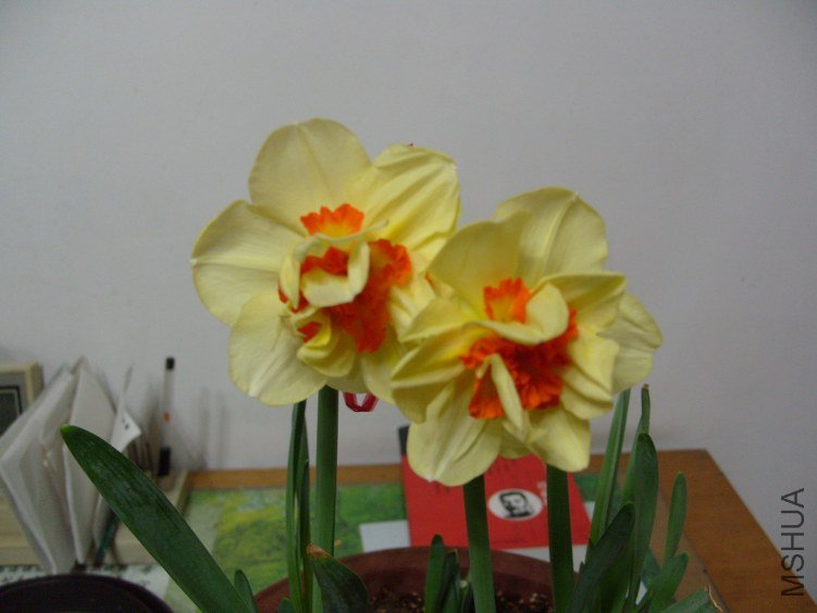 S1055879.JPG