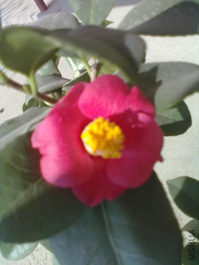 20120124157.jpg