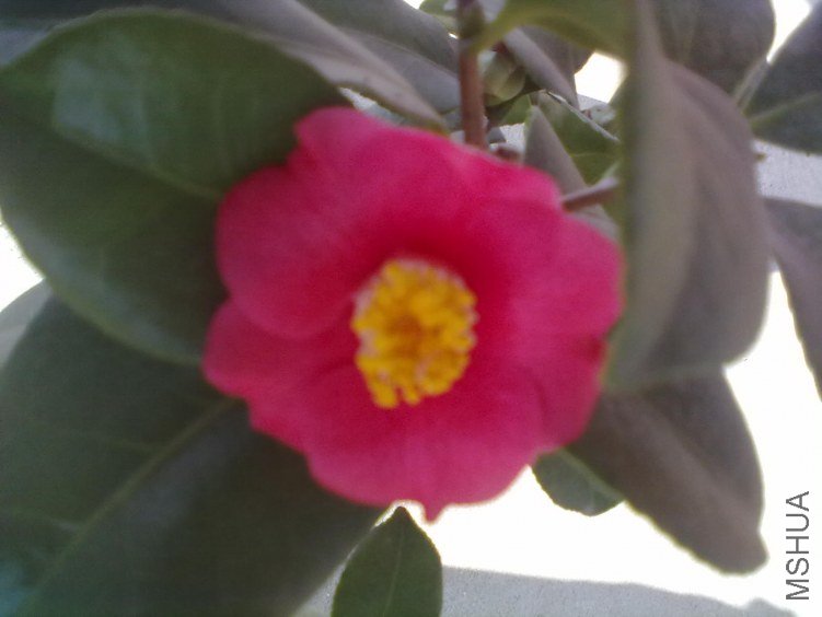 20120124158.jpg