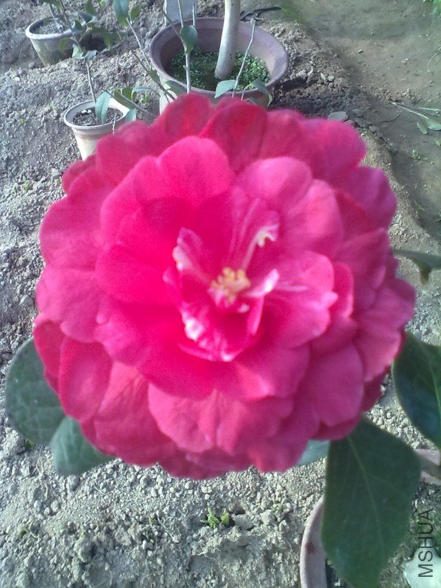 20120125159.jpg