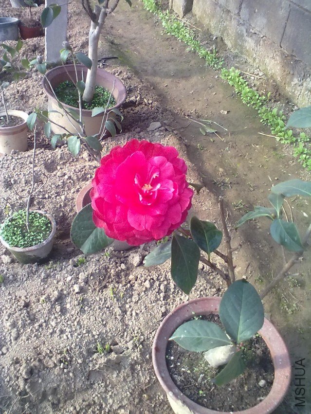 20120125160.jpg