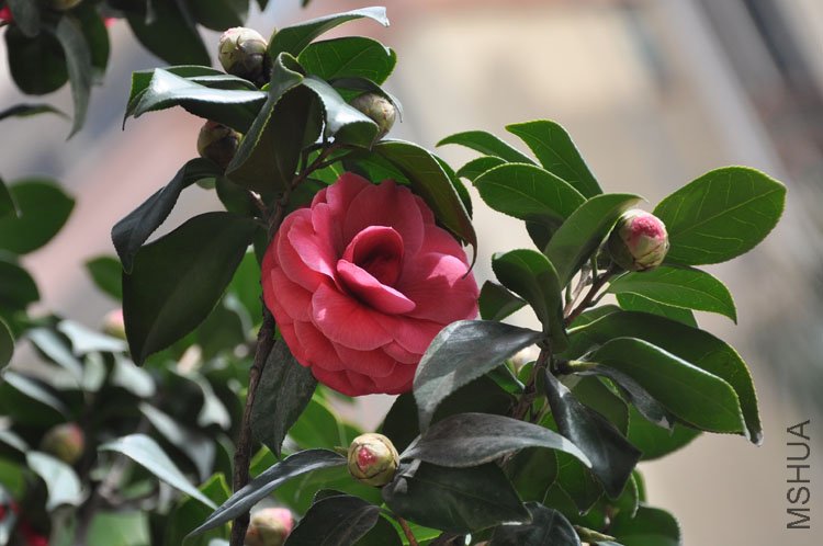 DSC_1573.JPG