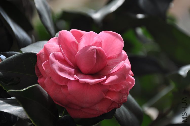 DSC_1577.JPG