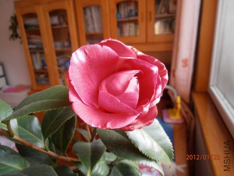 P1230155.JPG