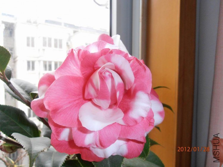 P1280167.JPG