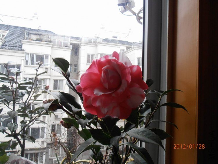 P1280173.JPG