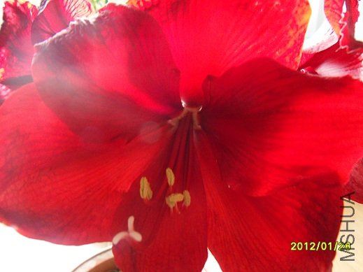 SDC10903.JPG