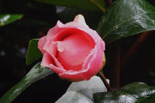 2012.01.29.�軨 003+4.jpg