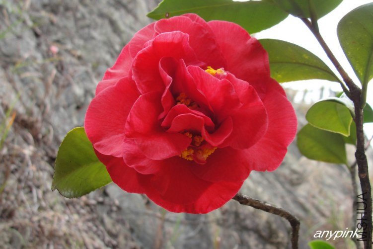 DSC01144-1.jpg