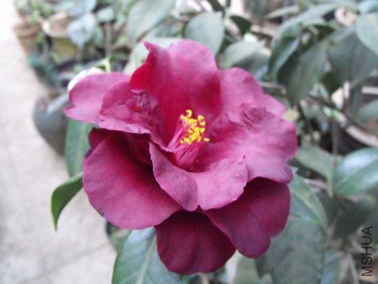 DSCF0349.JPG