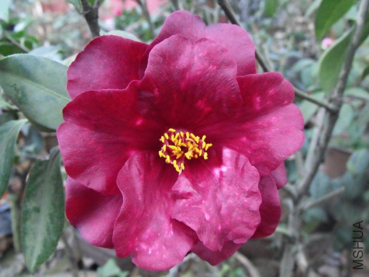 DSCF0350.JPG