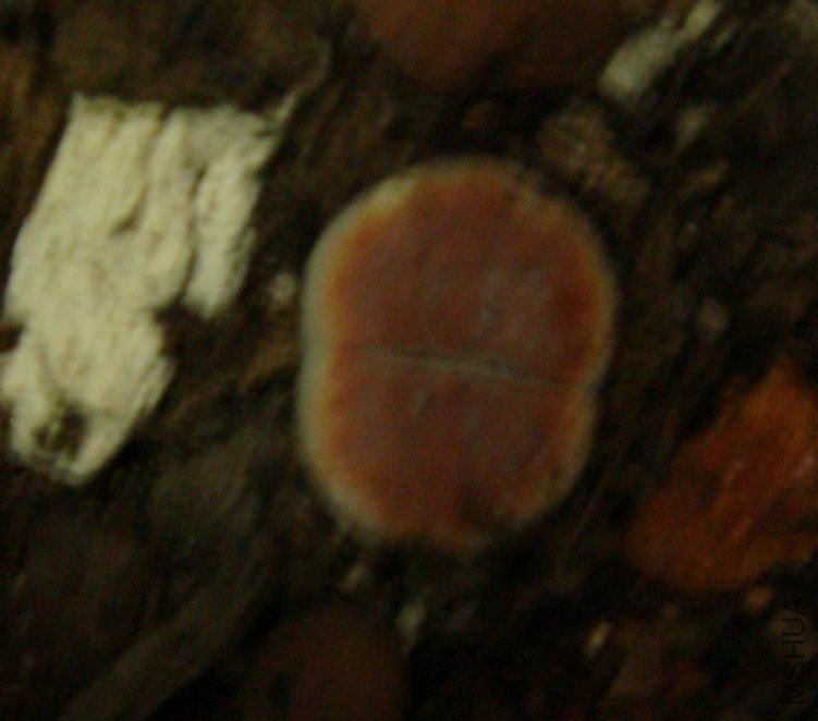 DSC08065.JPG