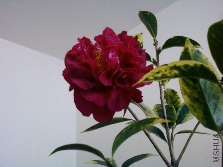��Ƭ-0038���.jpg
