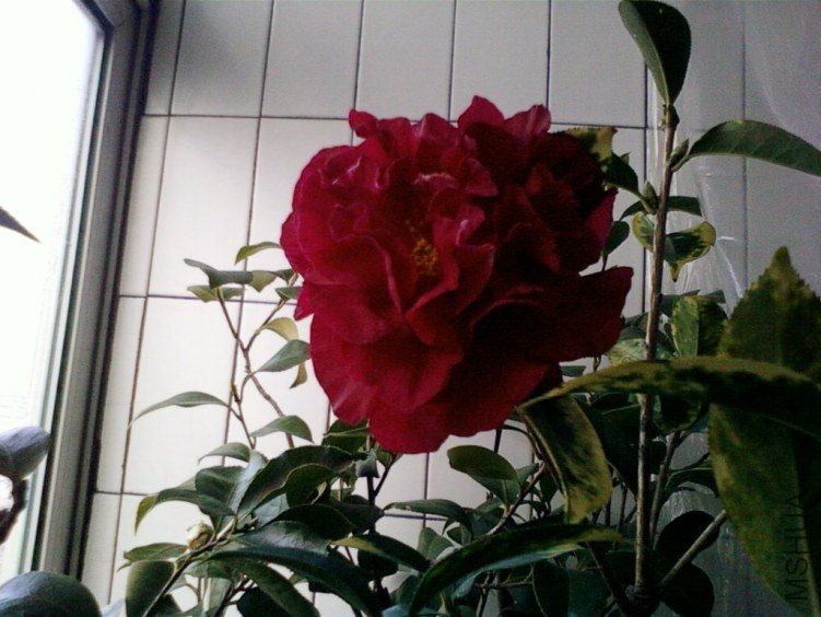 ��Ƭ-0029���.jpg