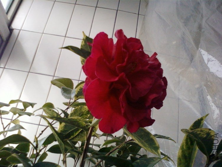 ��Ƭ-0023���.jpg