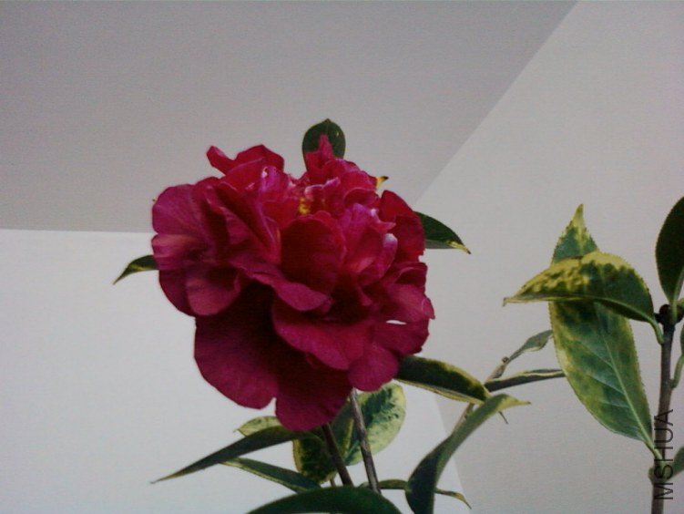 ��Ƭ-0041���.jpg