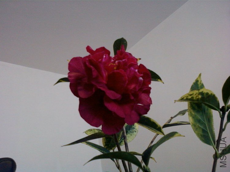 ��Ƭ-0040���.jpg