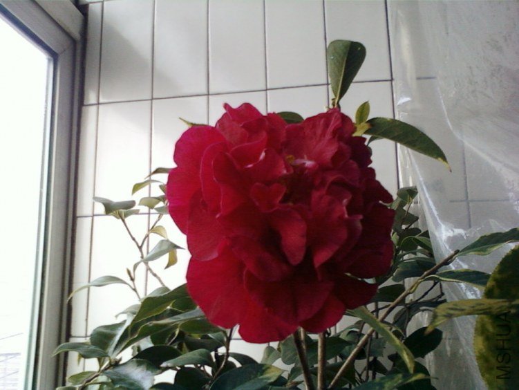 ��Ƭ-0025���.jpg