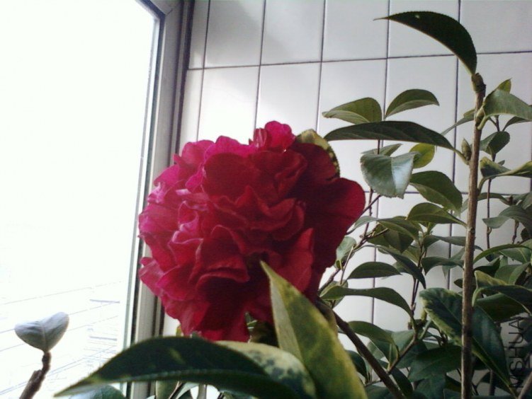 ��Ƭ-0026���.jpg