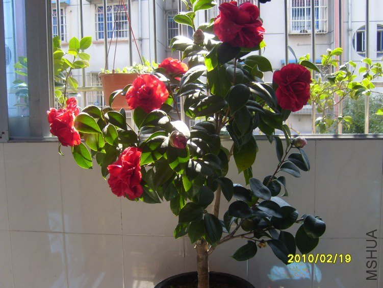 S7000397.JPG