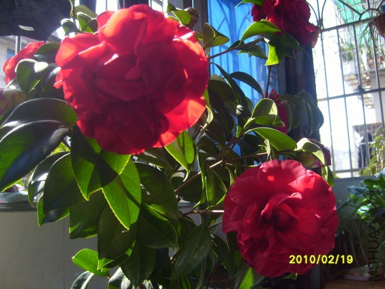 S7000398.JPG