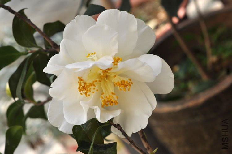 DSC_1659.JPG