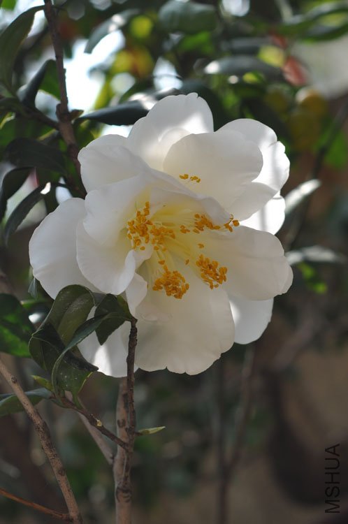 DSC_1666.JPG