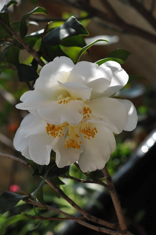 DSC_1669.JPG