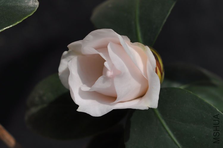 DSC_1622.JPG