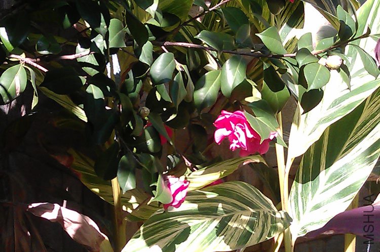 IMAG0142.jpg