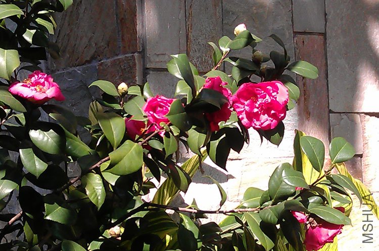 IMAG0143.jpg
