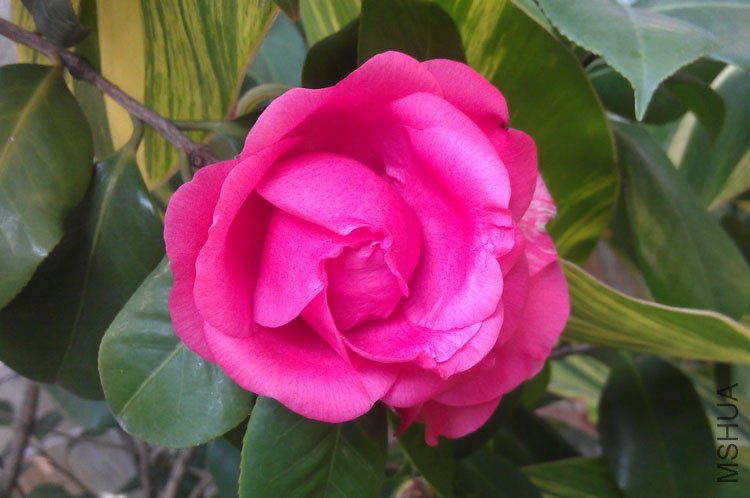 IMAG0146.jpg