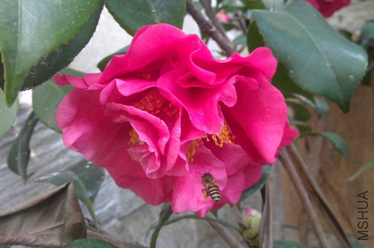 IMAG0144.jpg