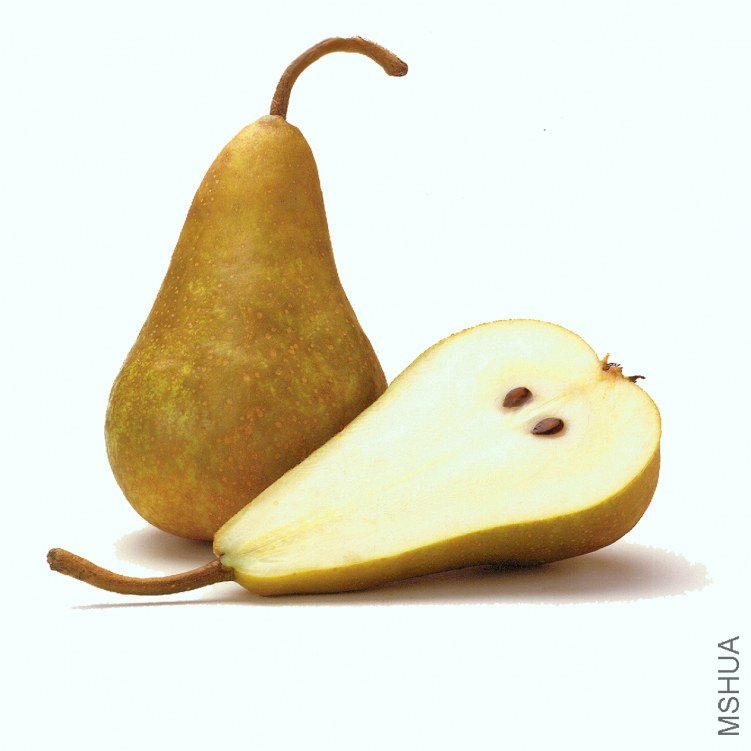 bosc.jpg
