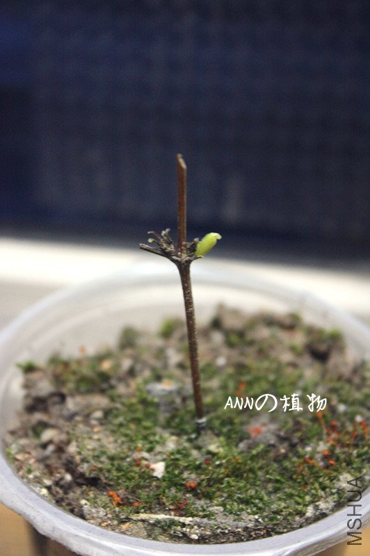 ����1 033_����.jpg