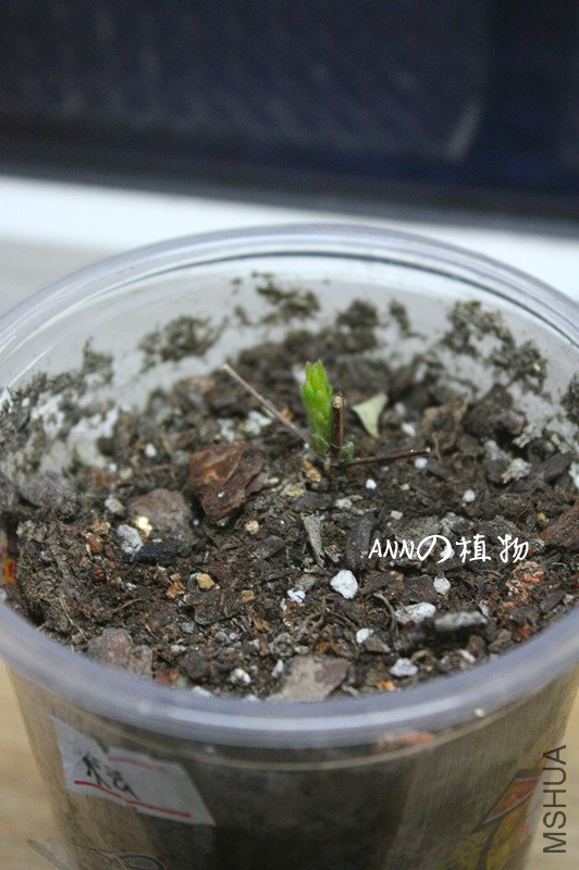 ����1 032_����.jpg