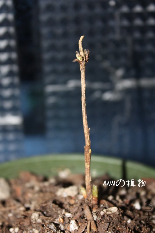 ����1 034_����.jpg