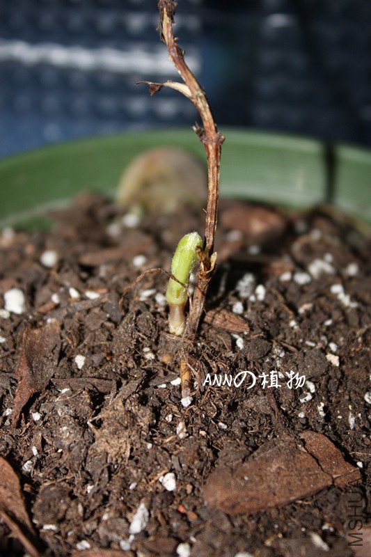 ����1 035_����.jpg