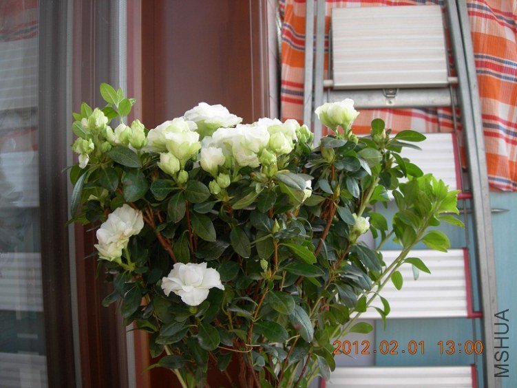DSCN0765.JPG