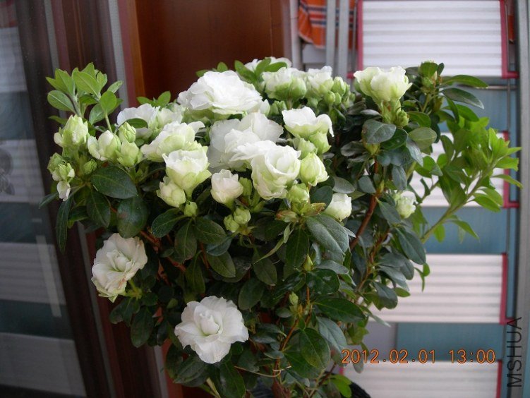 DSCN0766.JPG