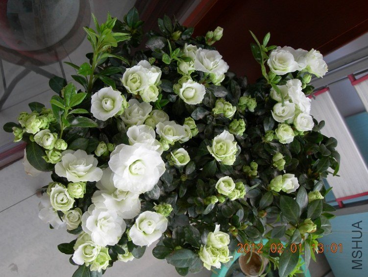 DSCN0767.JPG